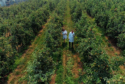 agriculture